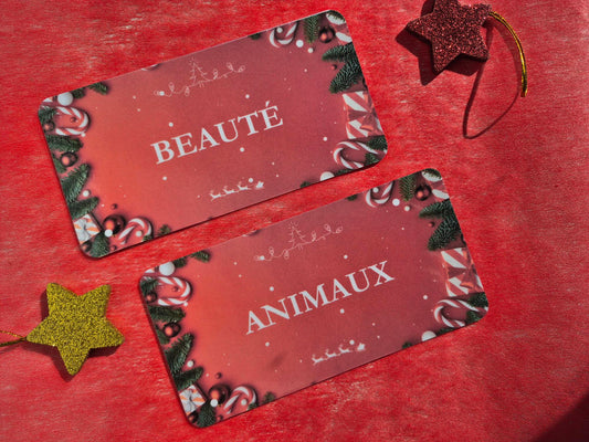 NOEL - Enveloppe budget + pochette pour classeur A6 - Rouge festif